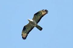 FB_IMG_1518289982641-2